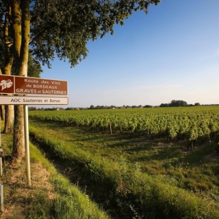 RDVenGravesetSauternes©phlabeguerie