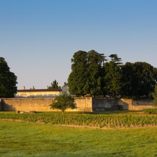 RDVenGravesetSauternes©phlabeguerie