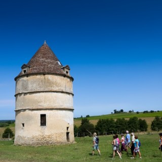 RDVenGravesetSauternes©phlabeguerie