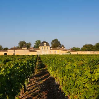 RDVenGravesetSauternes©phlabeguerie