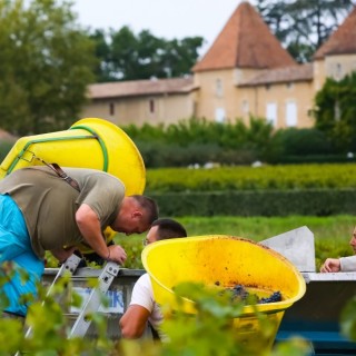 RDVenGravesetSauternes©phlabeguerie