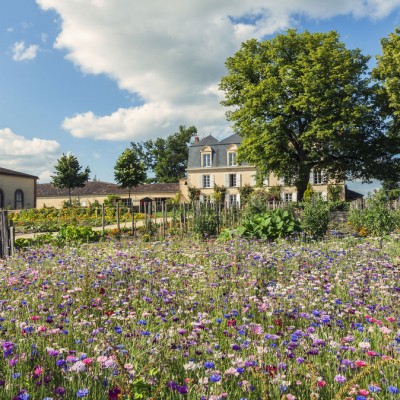 Château Guiraud