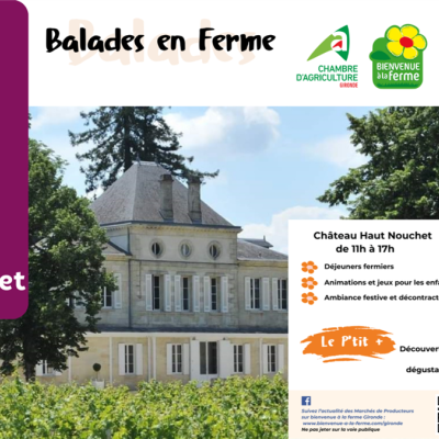 Château Haut Nouchet