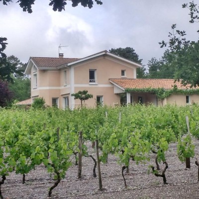 @Marie GIPOULOU / Le Nid dans la Vigne